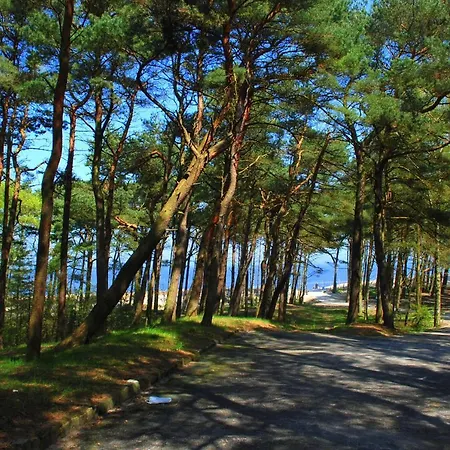 Nadmorski מיצ'יצ'ניו